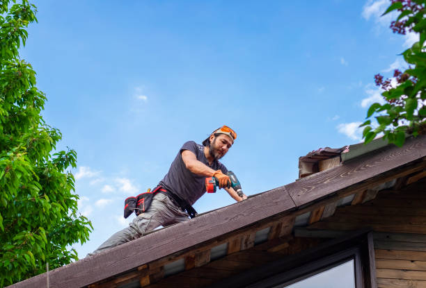 Best Skylight Installation and Repair  in Maplewood, MN