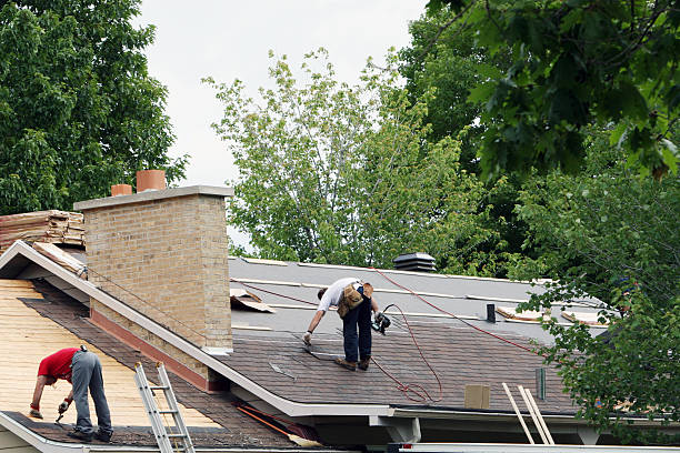 Best Roof Moss and Algae Removal  in Maplewood, MN