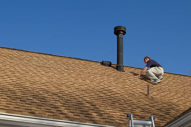 Best Roof Coating and Sealing  in Maplewood, MN